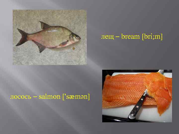 лещ – bream [bri; m] лосось – salmon ['sæmən] 