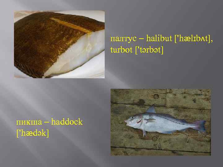 палтус – halibut ['hælɪbʌt], turbot ['tərbət] пикша – haddock ['hædək] 