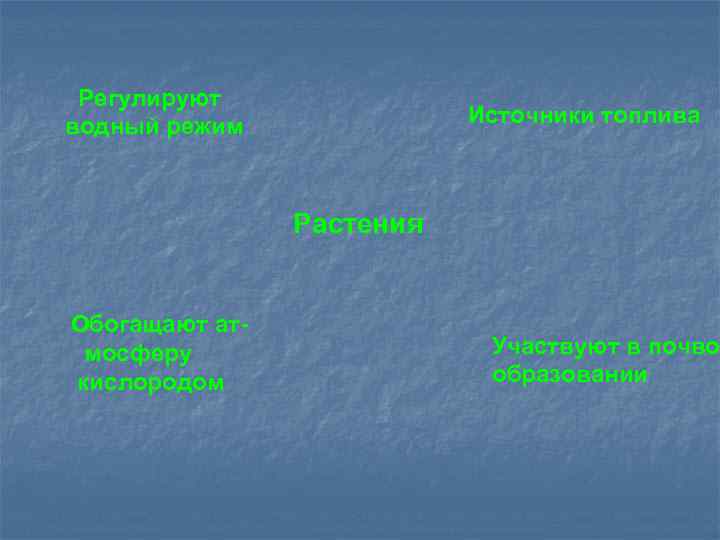 Регулируют водный режим Источники топлива Растения Обогащают атмосферу кислородом Участвуют в почвообразовании 