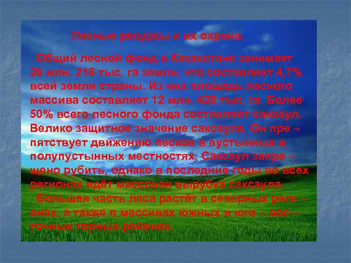 Лесные ресурсы и их охрана. Общий лесной фонд в Казахстане занимает 26 млн. 216