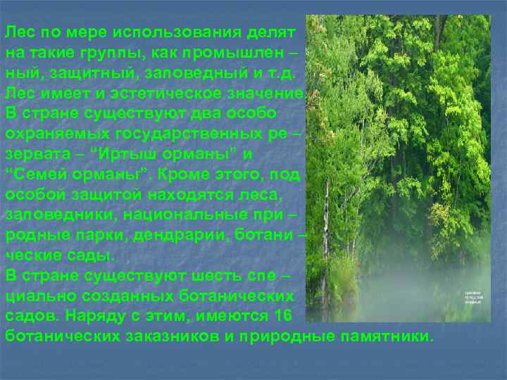 Лес по мере использования делят на такие группы, как промышлен – ный, защитный, заповедный
