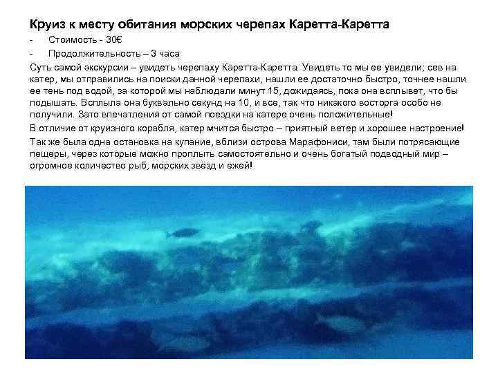 Круиз к месту обитания морских черепах Каретта-Каретта Стоимость - 30€ Продолжительность – 3 часа