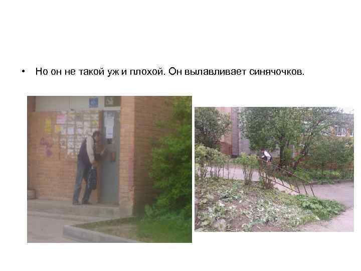  • Но он не такой уж и плохой. Он вылавливает синячочков. 