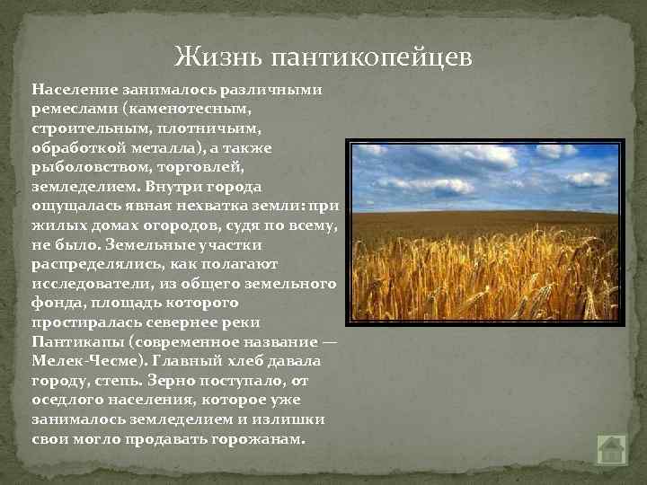 Жизнь пантикопейцев Население занималось различными ремеслами (каменотесным, строительным, плотничьим, обработкой металла), а также рыболовством,