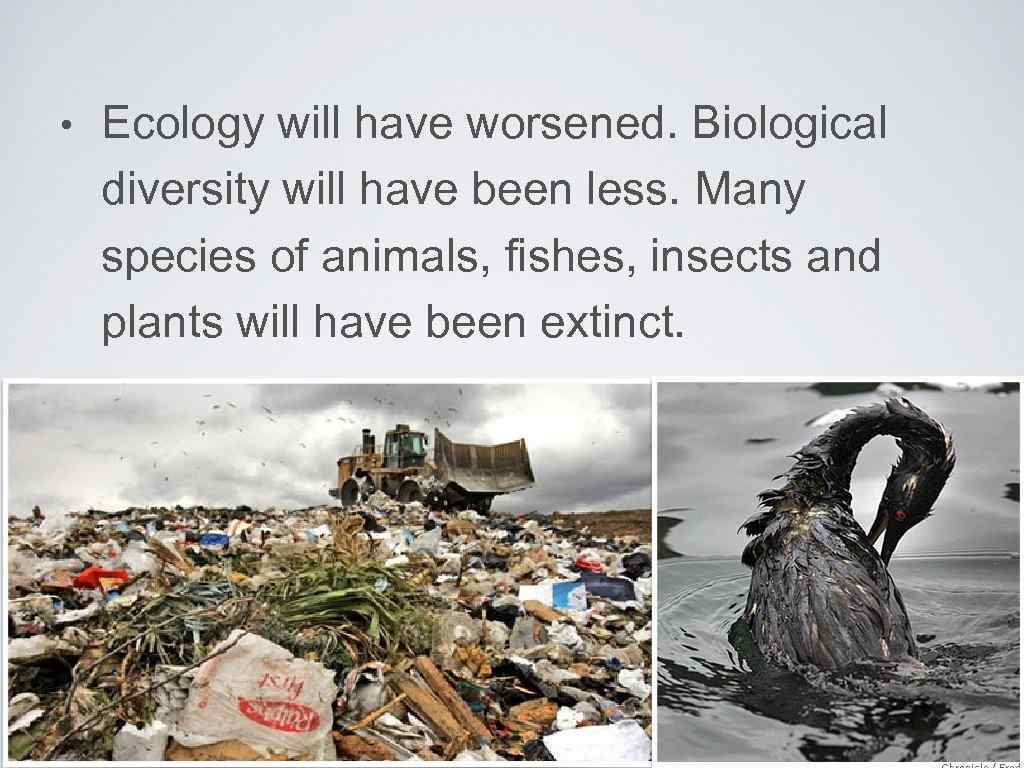  • Ecology will have worsened. Biological diversity will have been less. Many species