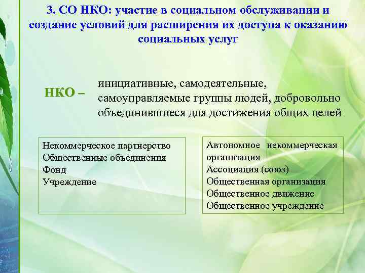 3. СО НКО: участие в социальном обслуживании и создание условий для расширения их доступа