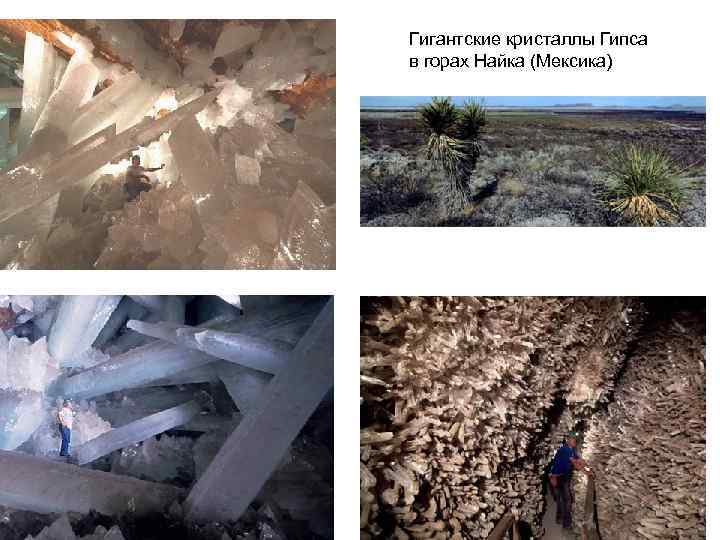 Гигантские кристаллы Гипса в горах Найка (Мексика) 