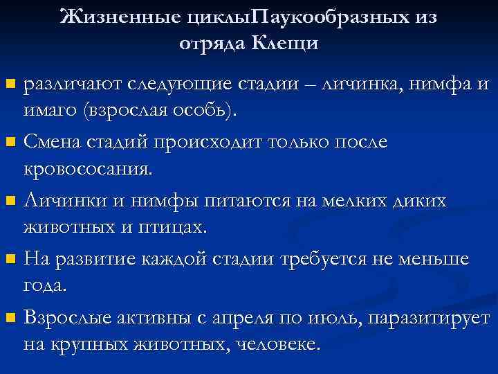 Жизненные циклы. Паукообразных из отряда Клещи различают следующие стадии – личинка, нимфа и имаго