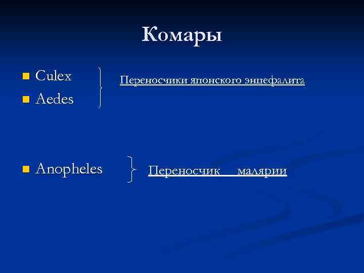 Комары Culex n Aedes n n Anopheles Переносчики японского энцефалита Переносчик малярии 