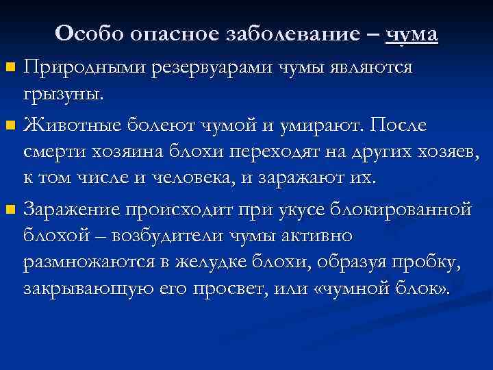 Особо опасное заболевание – чума Природными резервуарами чумы являются грызуны. n Животные болеют чумой