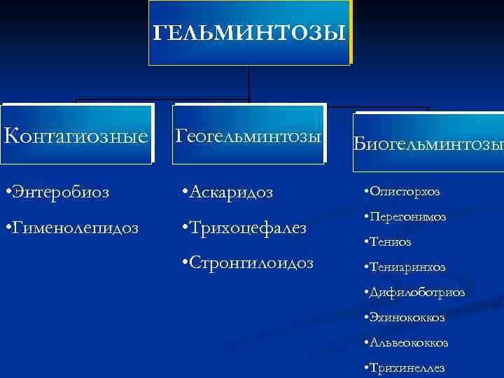 ГЕЛЬМИНТОЗЫ Контагиозные • Энтеробиоз • Гименолепидоз Геогельминтозы • Аскаридоз • Трихоцефалез • Стронгилоидоз Биогельминтозы