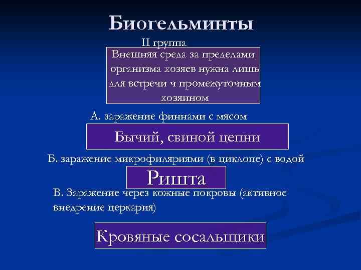 Биогельминты II группа Внешняя среда за пределами организма хозяев нужна лишь для встречи ч