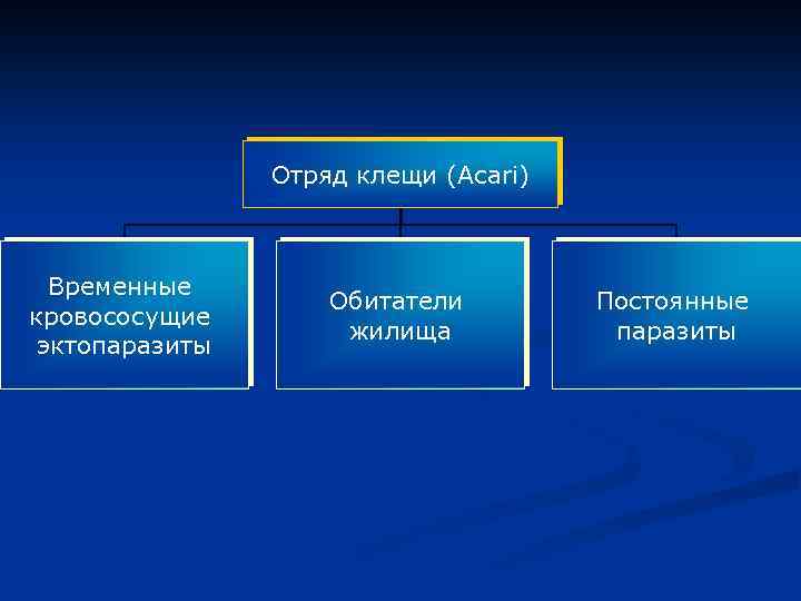 Отряд клещи (Acari) Временные кровососущие эктопаразиты Обитатели жилища Постоянные паразиты 