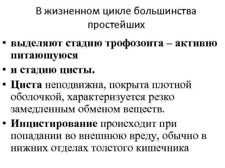 В жизненном цикле большинства простейших • выделяют стадию трофозоита – активно питающуюся • и