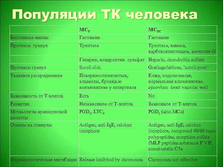 Популяции ТК человека MCTC Биогенные амины Гистамин Протеазы гранул Триптаза, химаза, карбоксипептидаза, катепсин-G Гепарин,