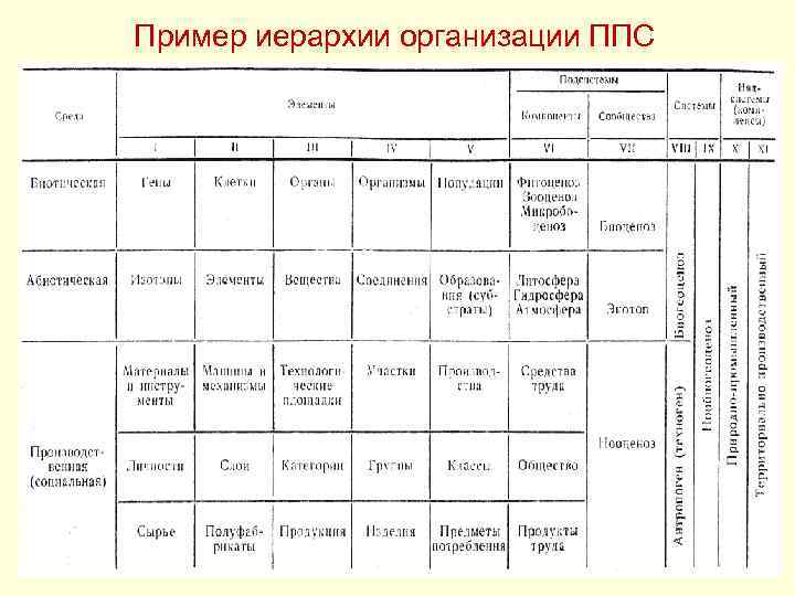 Пример иерархии организации ППС 