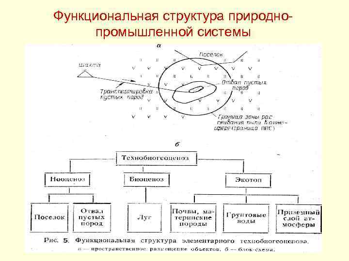 Структура природного. Блок схема природно промышленного комплекса. Структура природно промышленных систем. Производственно-природный комплекс. Природно-промышленные системы.