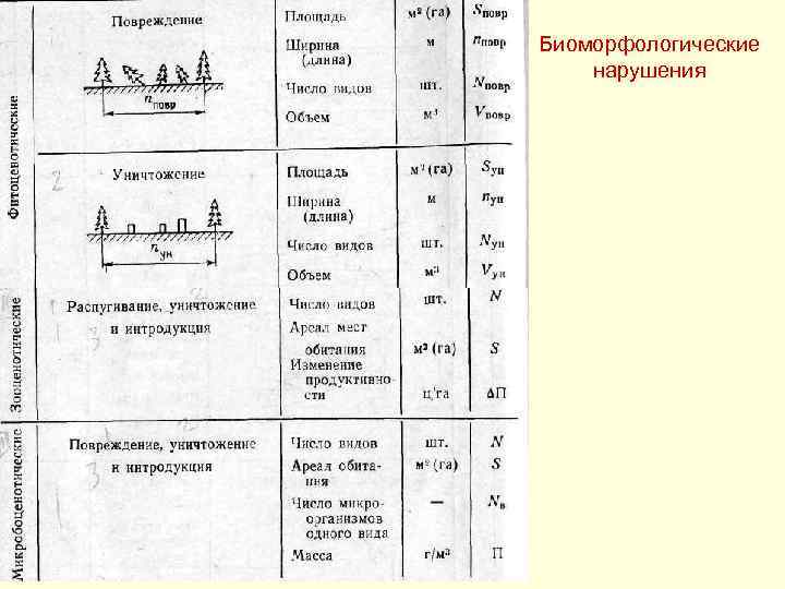 Биоморфологические нарушения 