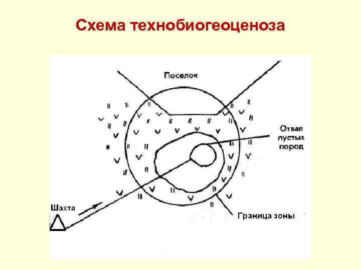 Схема технобиогеоценоза 