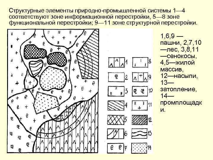 Структурные элементы природно-промышленной системы 1— 4 соответствуют зоне информационной перестройки, 5— 8 зоне функциональной