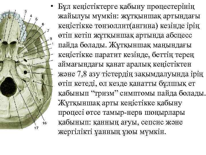  • Бұл кеңістіктерге қабыну процестерінің жайылуы мүмкін: жұтқыншақ артындағы кеңістікке тонзоллит(ангина) кезінде ірің