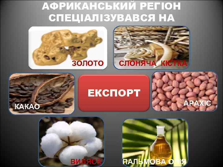 АФРИКАНСЬКИЙ РЕГІОН СПЕЦІАЛІЗУВАВСЯ НА ЗОЛОТО СЛОНЯЧА КІСТКА ЕКСПОРТ КАКАО ВИЛЯСК АРАХІС ПАЛЬМОВА ОЛІЯ 