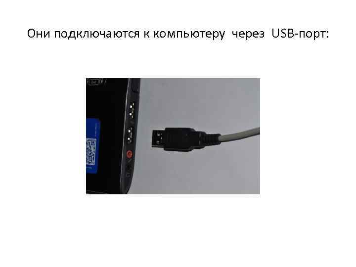 Они подключаются к компьютеру через USB-порт: 