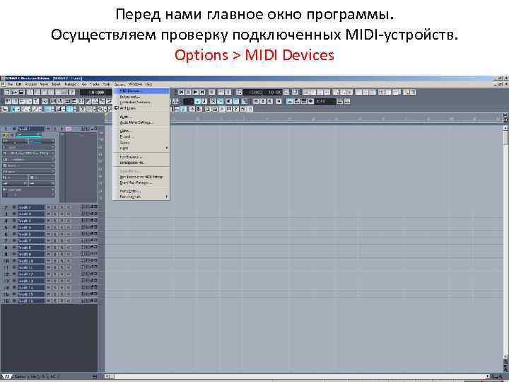 Перед нами главное окно программы. Осуществляем проверку подключенных MIDI-устройств. Options > MIDI Devices 