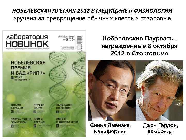 НОБЕЛЕВСКАЯ ПРЕМИЯ 2012 В МЕДИЦИНЕ и ФИЗИОЛОГИИ вручена за превращение обычных клеток в стволовые