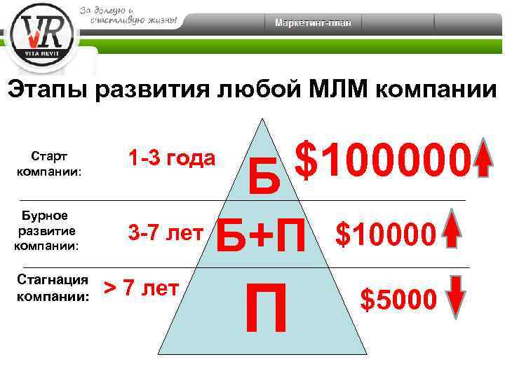 Этапы развития любой МЛМ компании Старт компании: 1 -3 года Бурное развитие компании: 3