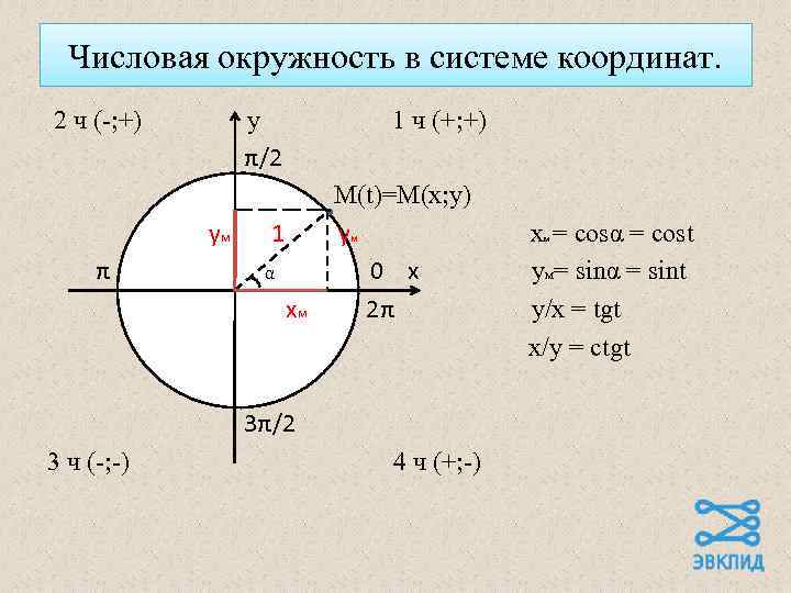 Числовая окружность в системе координат. 2 ч (-; +) у π/2 у. М π
