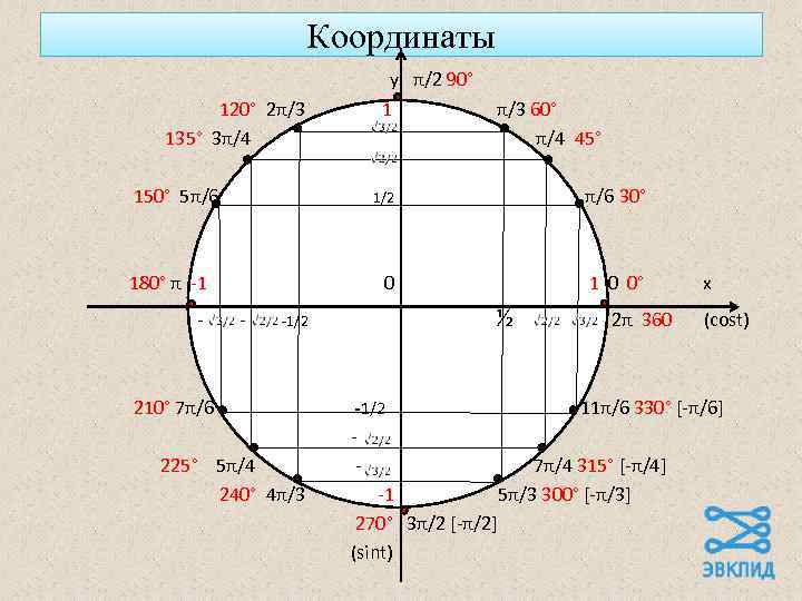 Координаты у π/2 90° 120° 2π/3 135° 3π/4 1 150° 5π/6 1/2 - π/6