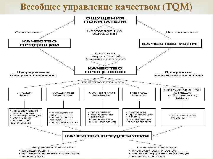 Всеобщее управление качеством схема