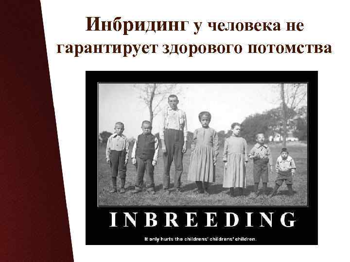 Инбридинг у человека не гарантирует здорового потомства 