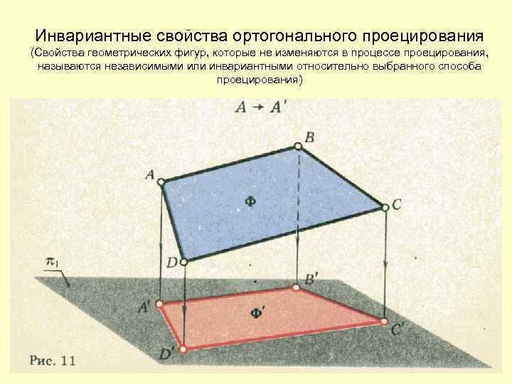 Инвариантные свойства ортогонального проецирования (Свойства геометрических фигур, которые не изменяются в процессе проецирования, называются