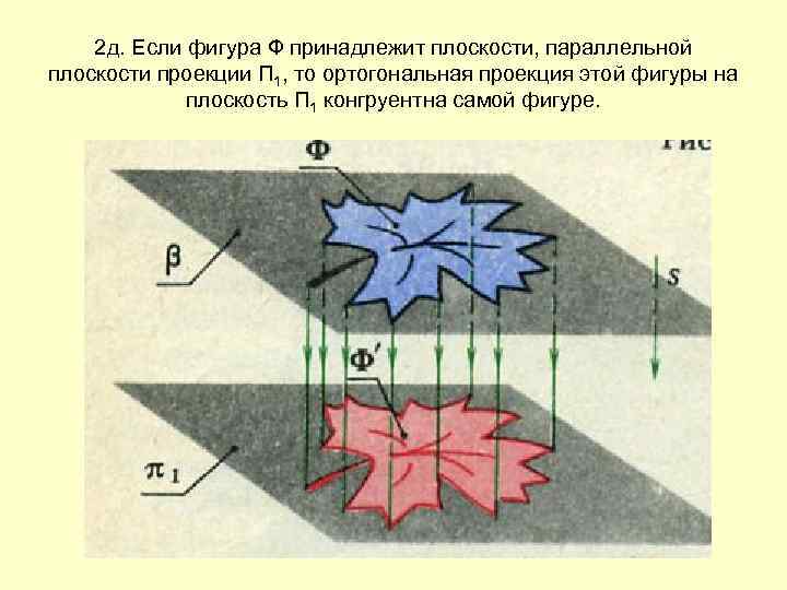 2 д. Если фигура Ф принадлежит плоскости, параллельной плоскости проекции П 1, то ортогональная