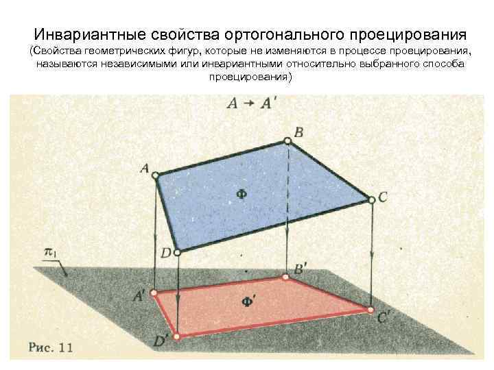 Инвариантные свойства ортогонального проецирования (Свойства геометрических фигур, которые не изменяются в процессе проецирования, называются