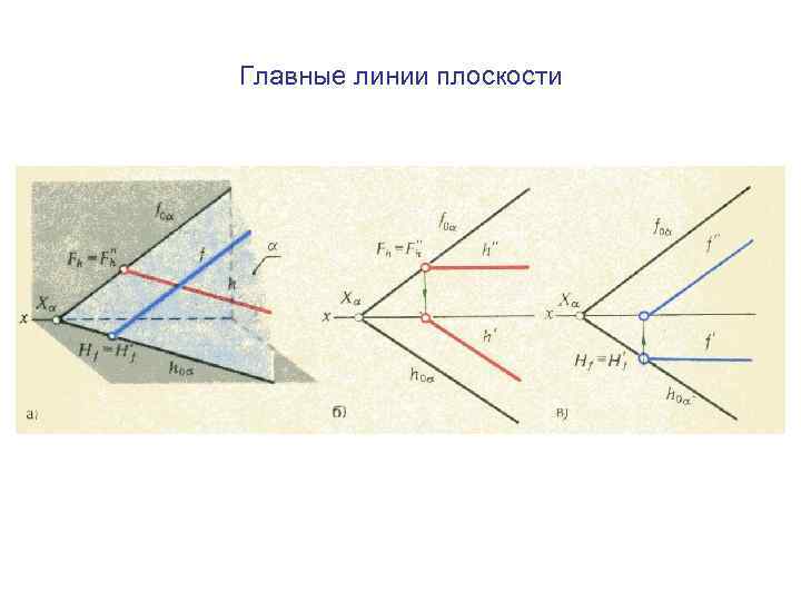 Главные линии плоскости 