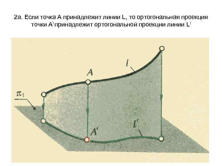 2 а. Если точка А принадлежит линии L, то ортогональная проекция точки Аl принадлежит