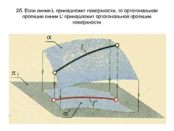 2 б. Если линия L принадлежит поверхности, то ортогональная проекция линии Ll принадлежит ортогональной