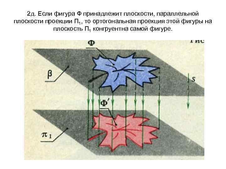 2 д. Если фигура Ф принадлежит плоскости, параллельной плоскости проекции П 1, то ортогональная