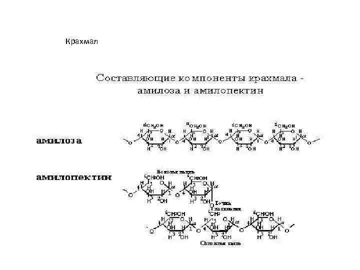 Схема образования амилозы