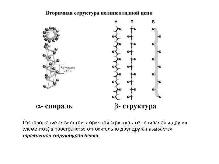 Расположение элементов вторичной структуры (α - спиралей и других элементов) в пространстве относительно друга