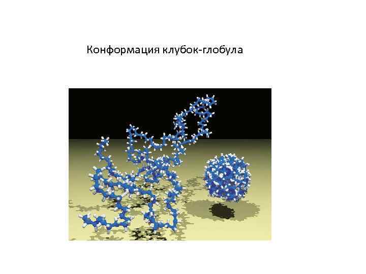 Конформация клубок-глобула 