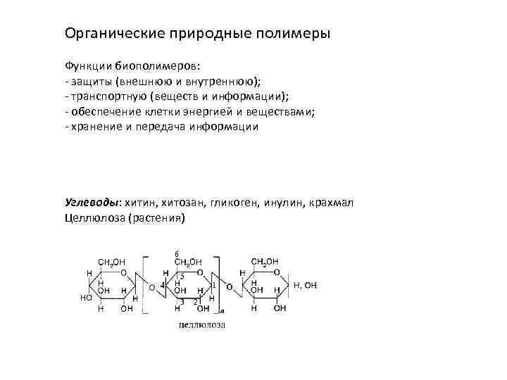 Органические природные полимеры Функции биополимеров: - защиты (внешнюю и внутреннюю); - транспортную (веществ и
