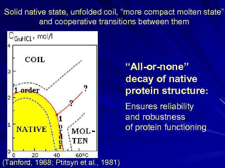 Solid native state, unfolded coil, “more compact molten state” and cooperative transitions between them