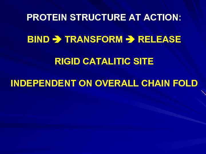 PROTEIN STRUCTURE AT ACTION: BIND TRANSFORM RELEASE RIGID CATALITIC SITE INDEPENDENT ON OVERALL CHAIN