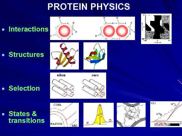 PROTEIN PHYSICS · Interactions · Structures · Selection · States & transitions 