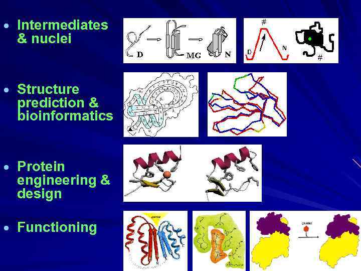 · Intermediates & nuclei · Structure prediction & bioinformatics · Protein engineering & design