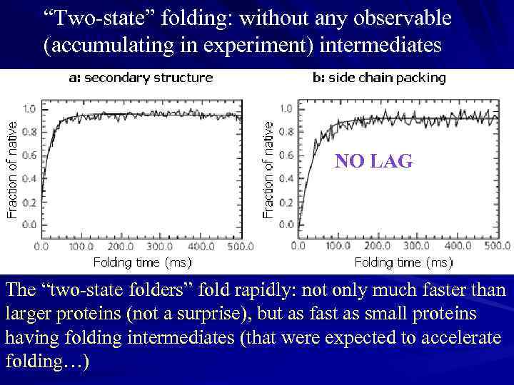 “Two-state” folding: without any observable (accumulating in experiment) intermediates NO LAG The “two-state folders”